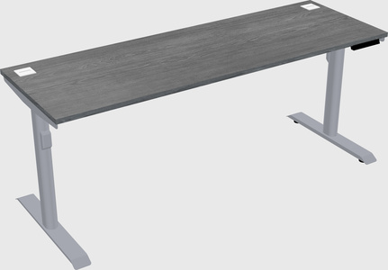 Dual motor electric desk