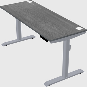 Dual motor electric desk