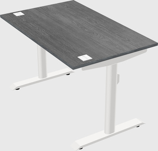 Dual motor electric desk
