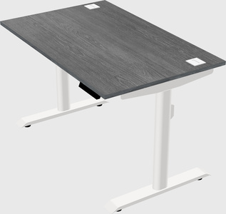 Dual motor electric desk