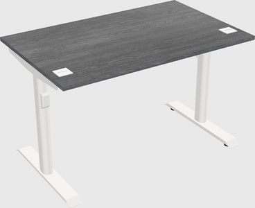 Dual motor electric desk