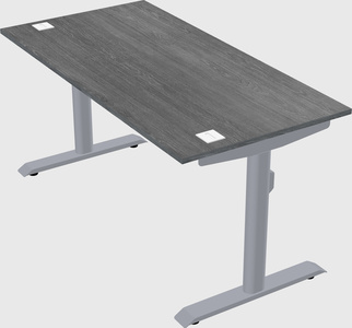 Dual motor electric desk
