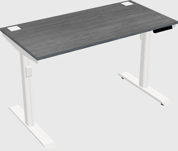 Dual Motor Electric Desk