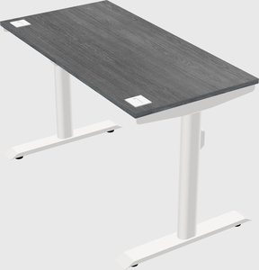 Dual motor electric desk