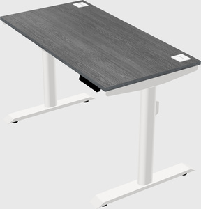 Dual motor electric desk