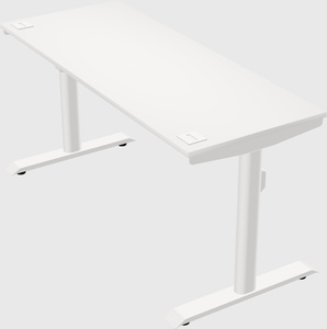 Dual motor electric desk