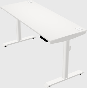 Dual motor electric desk