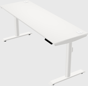 Dual motor electric desk