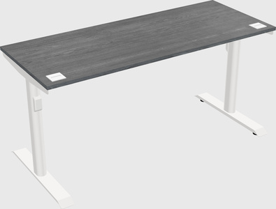 Dual motor electric desk