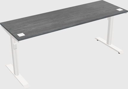 Dual motor electric desk