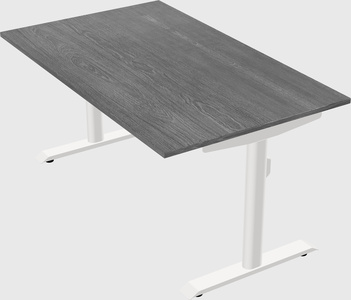Dual motor electric desk