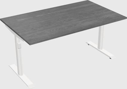 Dual motor electric desk