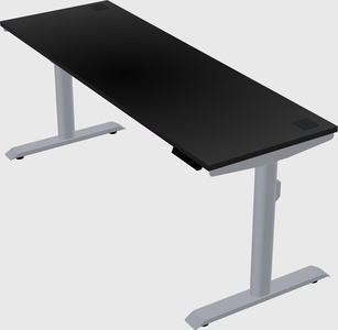 Dual motor electric desk