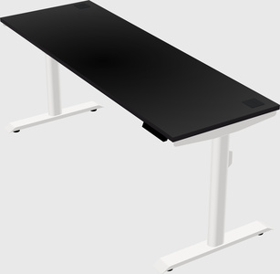 Dual motor electric desk
