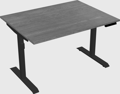 Dual motor electric desk