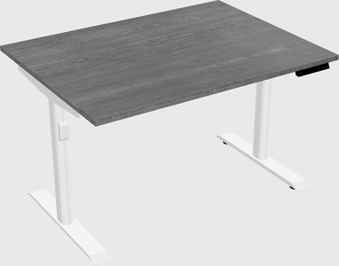 Dual motor electric desk