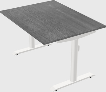 Dual motor electric desk