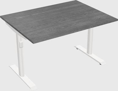 Dual motor electric desk