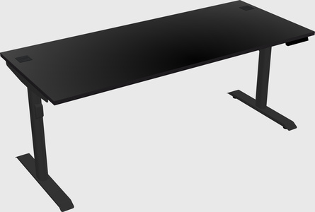 Dual motor electric desk