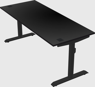 Dual motor electric desk