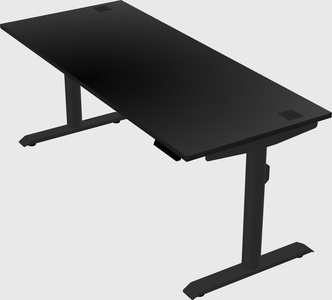 Dual motor electric desk