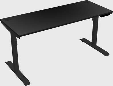 Dual motor electric desk
