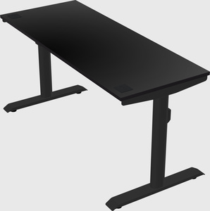 Dual motor electric desk