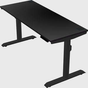 Dual motor electric desk