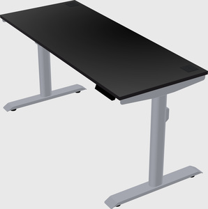 Dual motor electric desk