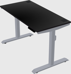 Dual motor electric desk