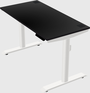 Dual motor electric desk