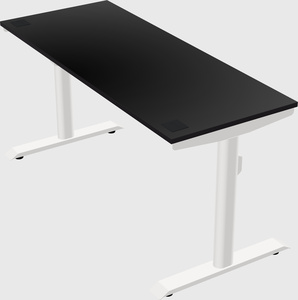 Dual motor electric desk
