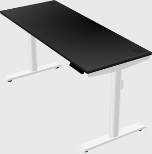 Dual motor electric desk