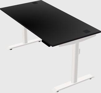 Dual motor electric desk