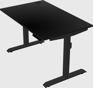 Dual motor electric desk