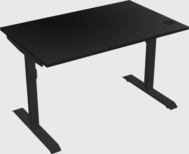 Dual motor electric desk