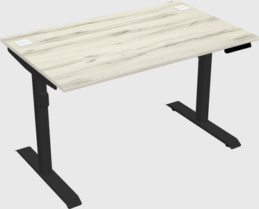 Dual motor electric desk