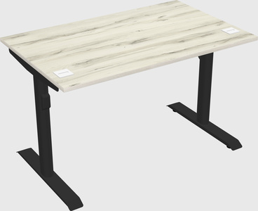 Dual motor electric desk