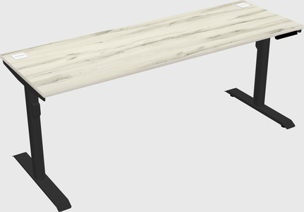Dual motor electric desk