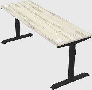 Dual motor electric desk