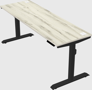 Dual motor electric desk