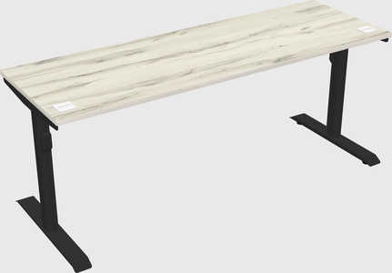 Dual motor electric desk