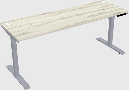 Dual motor electric desk
