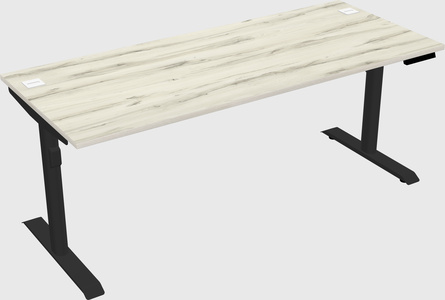 Dual motor electric desk