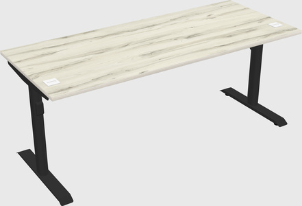 Dual motor electric desk