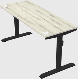 Dual motor electric desk