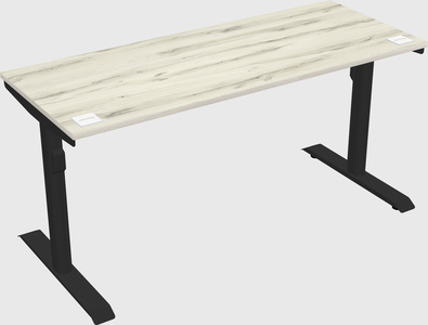 Dual motor electric desk