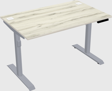 Dual motor electric desk