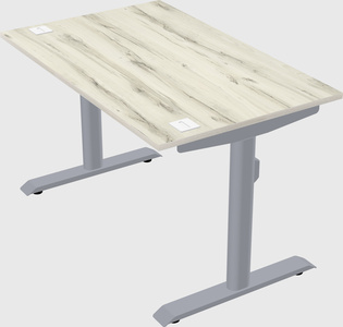 Dual motor electric desk