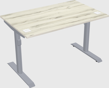 Dual motor electric desk